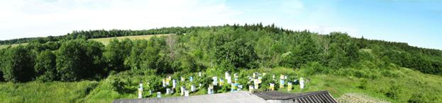 Секреты высоких медосборов