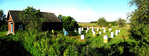 Секреты высоких медосборов